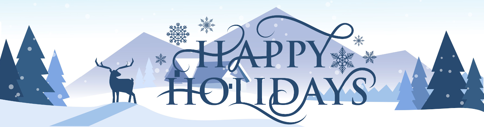 22-WCC-1498-Holidays-banner funspiel